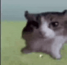 me